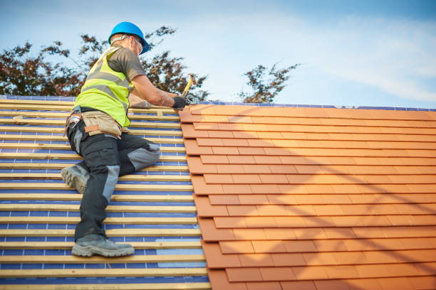 Best Roof Coating and Sealing  in Drew, MS